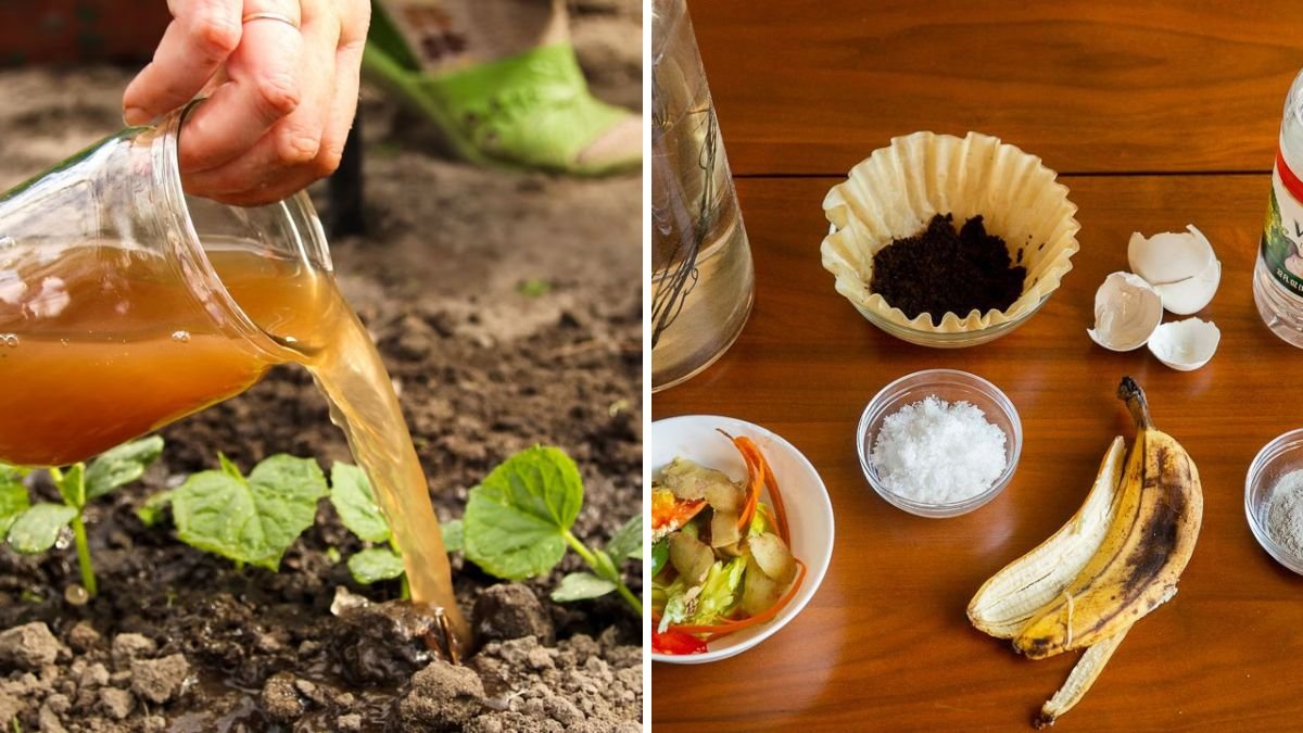 I Created the Most Powerful Organic Liquid Fertilizer: Transform Your Garden Naturally!