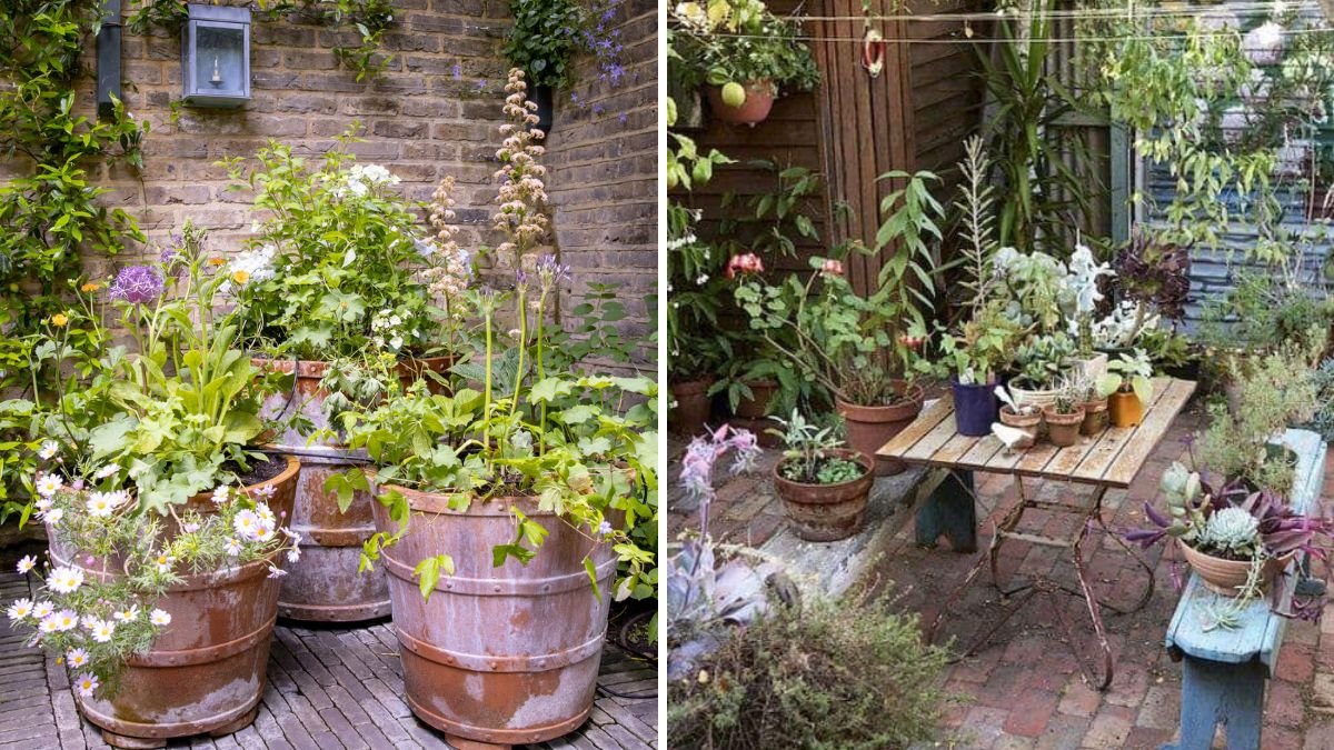 Stunning Garden Ideas & Designs for Shorts | Transform Your Space in Seconds!