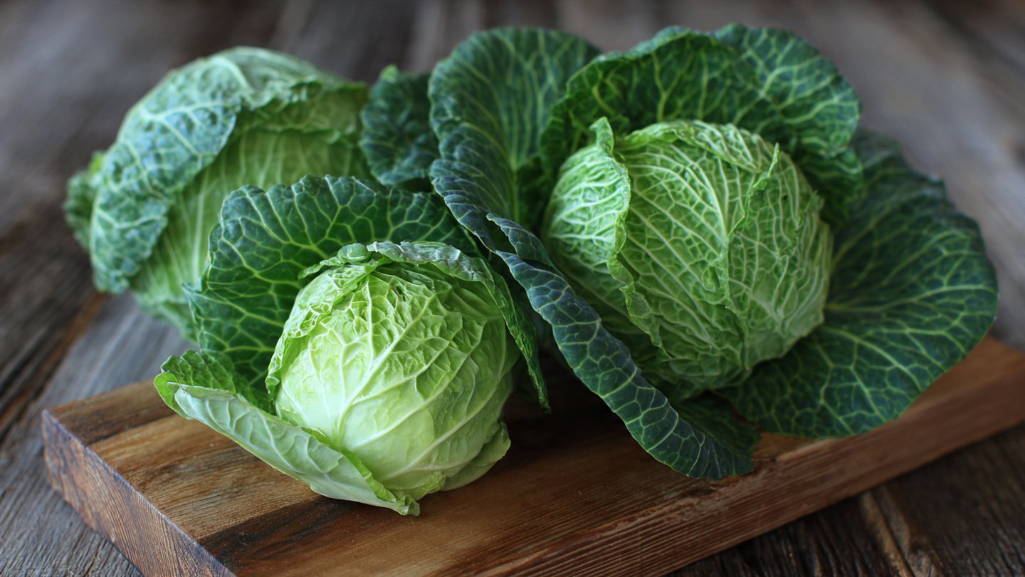 Discover the Simple Method to Cultivate Perfect Cabbage Free from Splitting