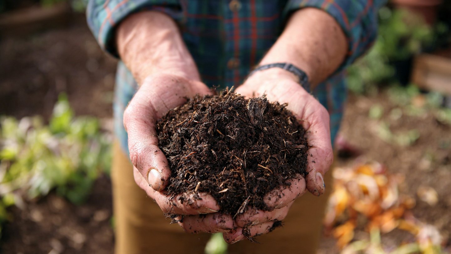 Boost Your Composting Speed with This Simple Turning Technique