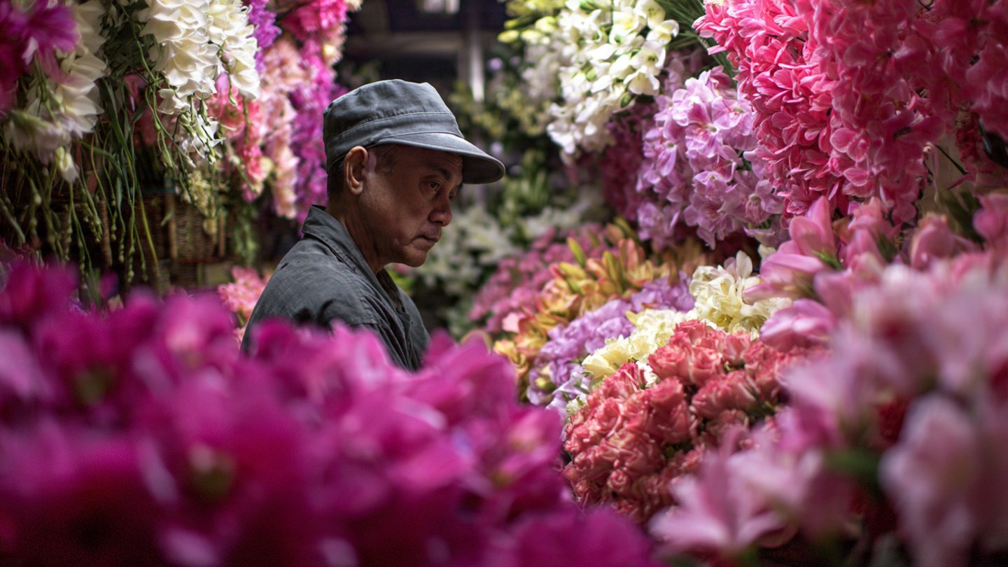 The Hidden Truth About the Global Flower Trade